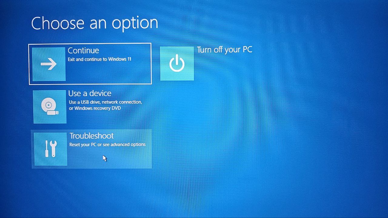 Windows Recovery Screen